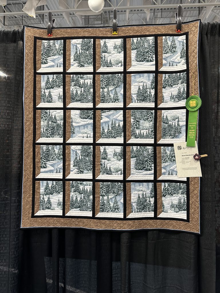 Honorable Mention — C-115 Winter Wonderland, Elaine Wise