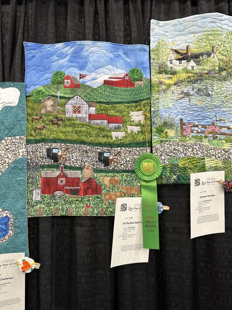 Honorable Mention — I-108 On The Barn Quilt Trail, Elain Wise